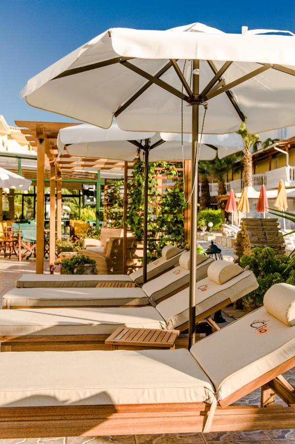 Clio Hotel อาลีเกส ภายนอก รูปภาพ